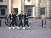 255.jpg - 2009:11:26 11:22:09