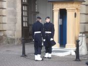 256.jpg - 2009:11:26 11:22:45