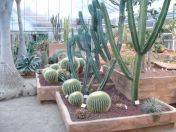 298.jpg - 2009:11:28 12:19:12