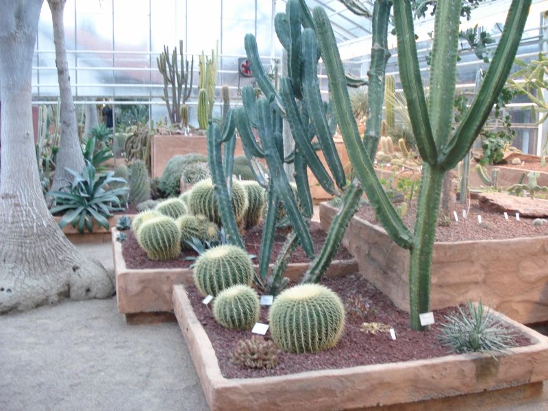 Viewing photos→2009→2009-11-21→298