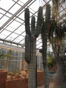 299.jpg - 2009:11:28 12:19:21