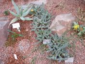 300.jpg - 2009:11:28 12:22:13