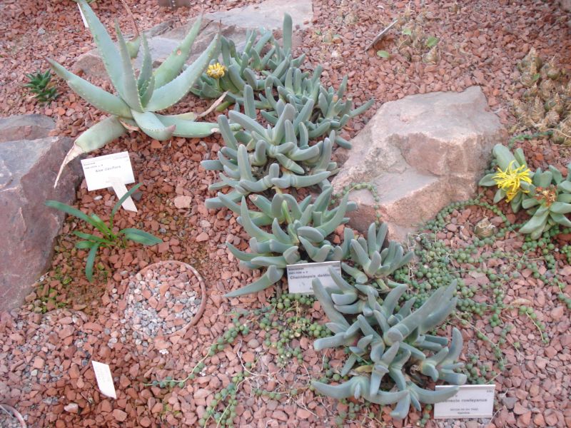 Viewing photos→2009→2009-11-21→300