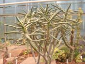 301.jpg - 2009:11:28 12:22:29