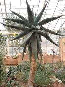 302.jpg - 2009:11:28 12:23:21