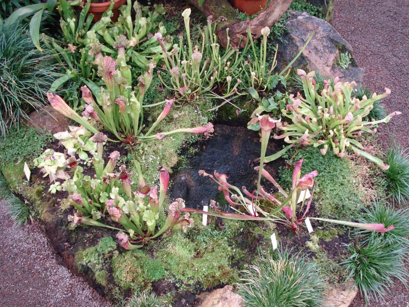 Viewing photos→2009→2009-11-21→303