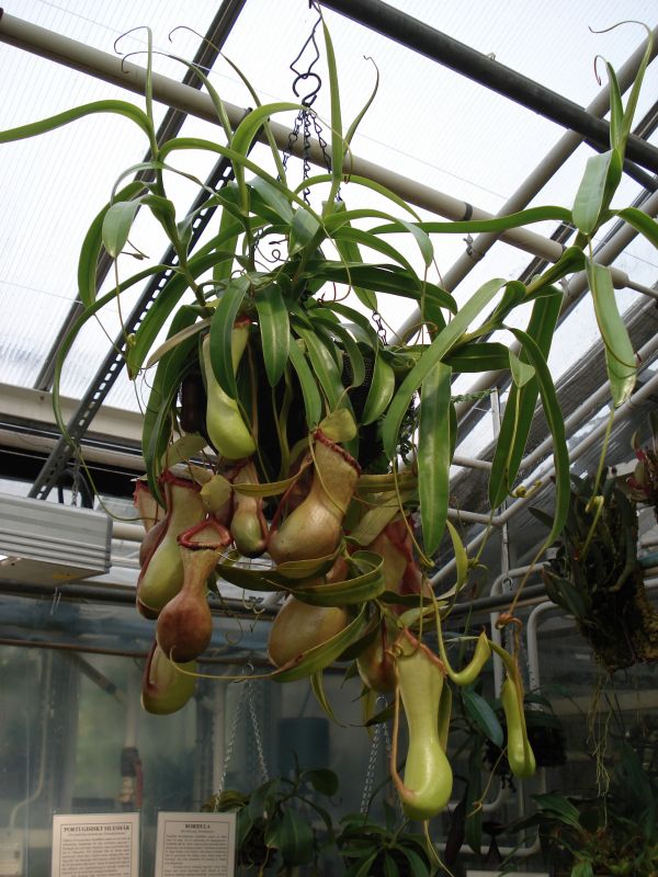 Viewing photos→2009→2009-11-21→304