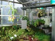 305.jpg - 2009:11:28 12:34:04