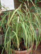 307.jpg - 2009:11:28 12:36:28