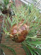 308.jpg - 2009:11:28 12:36:48