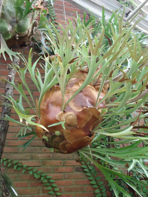 Viewing photos→2009→2009-11-21→308