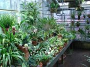 309.jpg - 2009:11:28 12:40:28