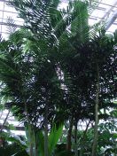 311.jpg - 2009:11:28 12:41:21