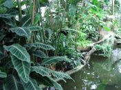 312.jpg - 2009:11:28 12:42:02