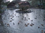 316.jpg - 2009:11:28 14:16:11