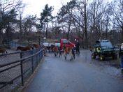 320.jpg - 2009:11:28 14:20:32