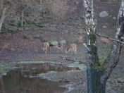 322.jpg - 2009:11:28 14:24:26