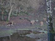 323.jpg - 2009:11:28 14:24:54