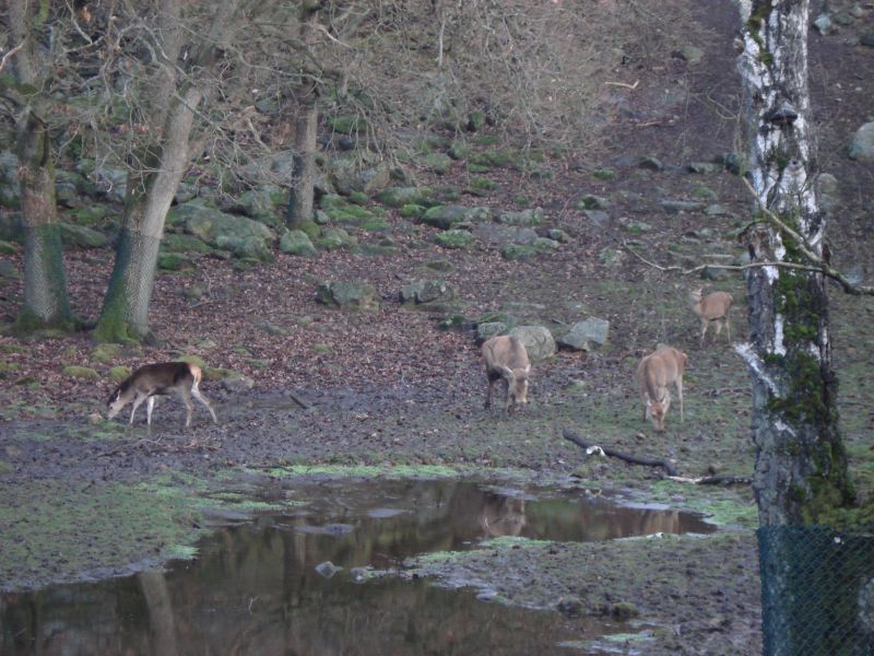 Viewing photos→2009→2009-11-21→323