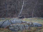 324.jpg - 2009:11:28 14:32:28