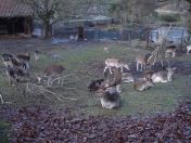 325.jpg - 2009:11:28 14:39:10