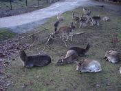 326.jpg - 2009:11:28 14:39:30