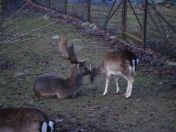 327.jpg - 2009:11:28 14:40:46