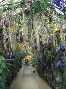 01.jpg - 2010:02:10 13:18:43