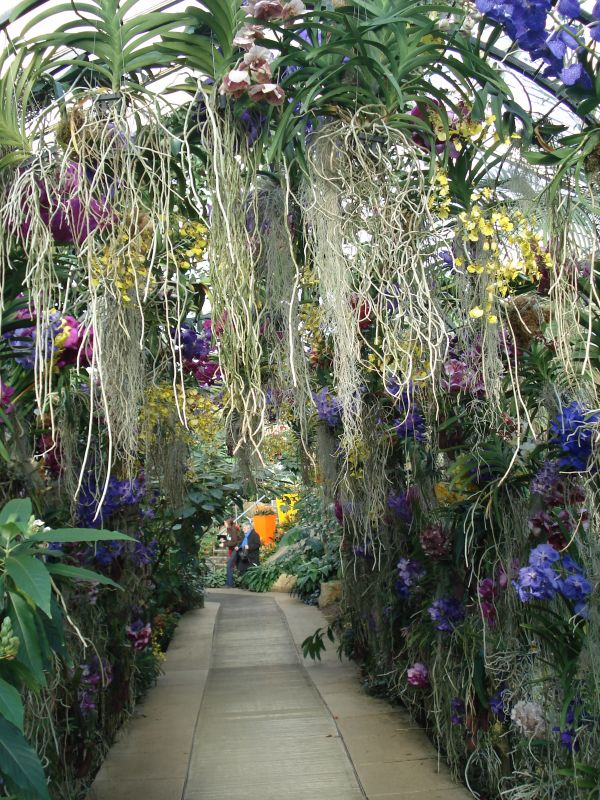 Viewing photos→2010→2010-02-10→01