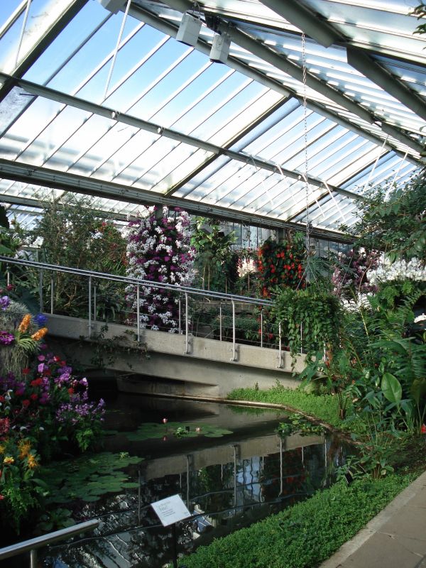 Viewing photos→2010→2010-02-10→02