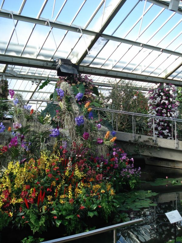 Viewing photos→2010→2010-02-10→03