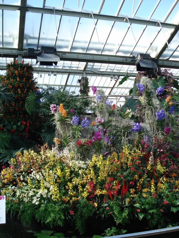 Viewing photos→2010→2010-02-10→04