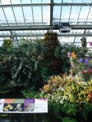 05.jpg - 2010:02:10 13:20:50