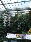 06.jpg - 2010:02:10 13:20:55