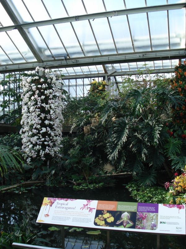 Viewing photos→2010→2010-02-10→06