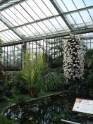 09.jpg - 2010:02:10 13:22:25