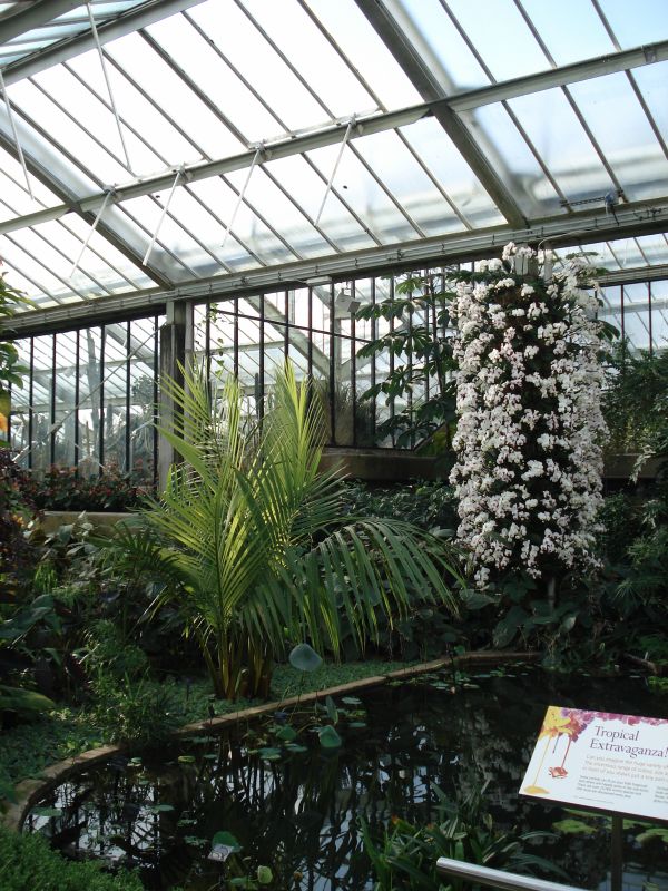 Viewing photos→2010→2010-02-10→09