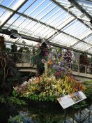 10.jpg - 2010:02:10 13:23:15