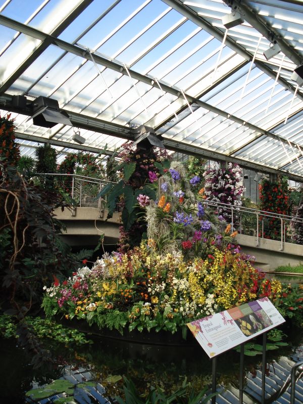 Viewing photos→2010→2010-02-10→10