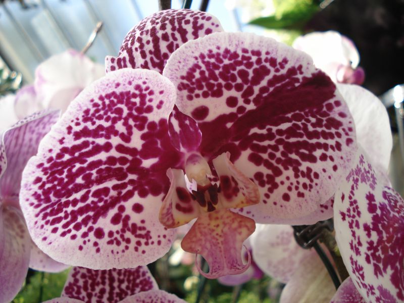 Viewing photos→2010→2010-02-10→11