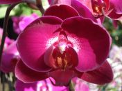 12.jpg - 2010:02:10 13:26:13