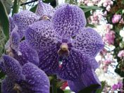 13.jpg - 2010:02:10 13:26:54