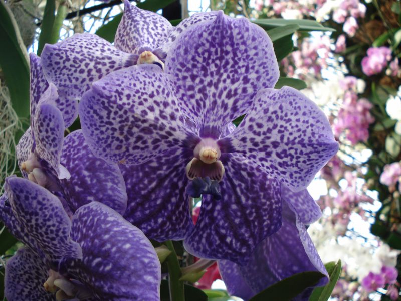 Viewing photos→2010→2010-02-10→13