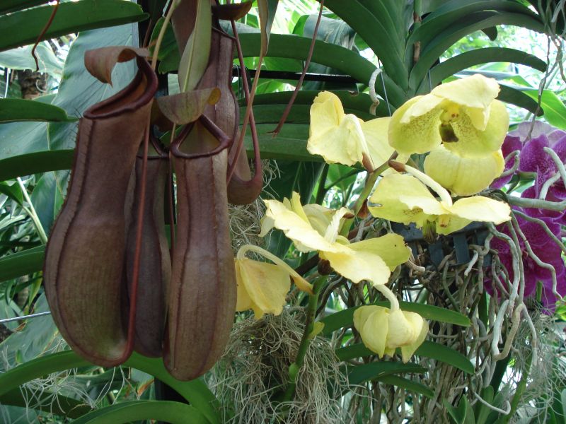 Viewing photos→2010→2010-02-10→15