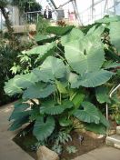 16.jpg - 2010:02:10 13:27:44