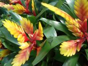 17.jpg - 2010:02:10 13:28:07