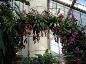 18.jpg - 2010:02:10 13:28:30