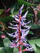 19.jpg - 2010:02:10 13:30:53