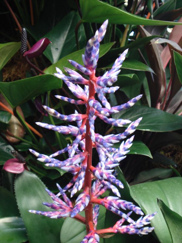 Viewing photos→2010→2010-02-10→19