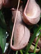 20.jpg - 2010:02:10 13:31:13